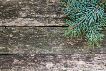 Christmas fir tree with decoration on a wooden board