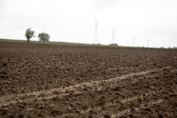 soil detail
