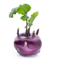 Cabbage kohlrabi isolated on white background.