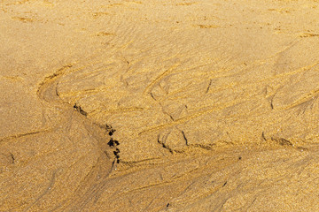Naturally Formed Patterns and Textures on Wet Beach Sand