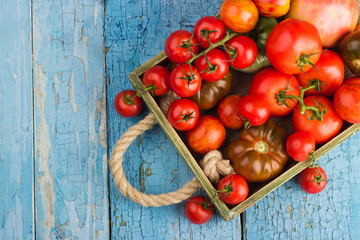 Set of different sorts of red tomatoes