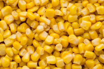Bulk of yellow corn grains texture.