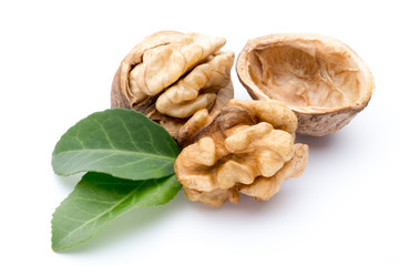 Walnut and walnut kernel isolated on the white background.