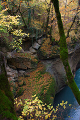 Fall landscape of cliff overgrown with trees, moss and ivy in yellow leaves and flowing river