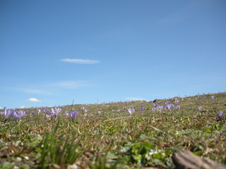 Tempo libero in montagna