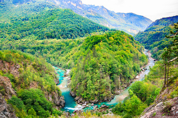 Mountain landscape. Tara River Canyon, Durmitor National Park, Montenegro. - obrazy, fototapety, plakaty
