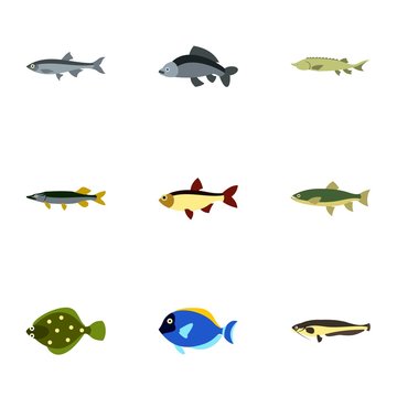 Marine fish icons set. Flat illustration of 9 marine fish vector icons for web