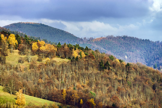 Beautiful autumn colors in mountains, landscape natural view