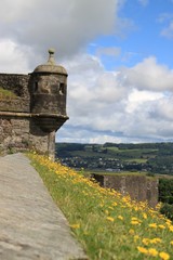 stirling castle wall and flowers