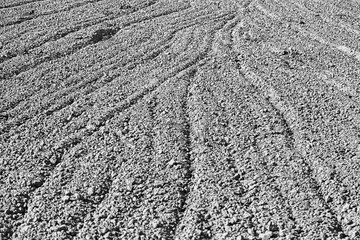 Agriculture plowed field