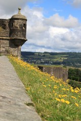 wall and flower stirling castle