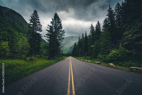 Forest road on a cloudy day.