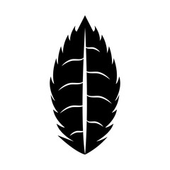 Fototapeta premium leaf plant isolated icon vector illustration design
