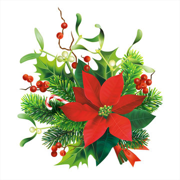 Christmas decoration with fir, mistletoe, holly branches and poinsettia flower. Isolated on white. Vector illustration.