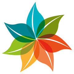 leaf plant isolated icon vector illustration design