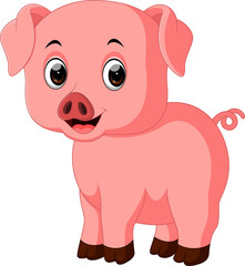 Cute pig cartoon