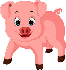 Cute pig cartoon

