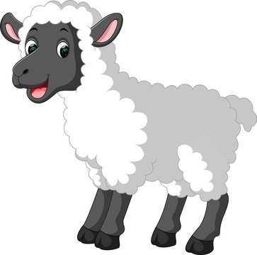 Cute sheep cartoon

