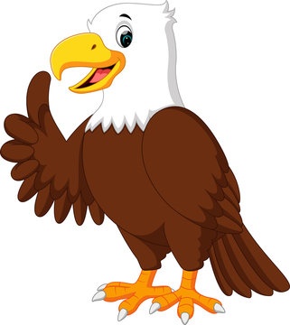 Eagle Cartoon Images – Browse 34,650 Stock Photos, Vectors, and Video |  Adobe Stock