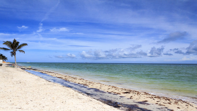 PLAYA