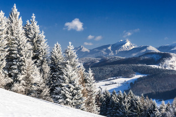 Fototapeta na wymiar snowy landscape, The Great Rozsutec hill on background, national park Mala Fatra in Slovakia, central Europe