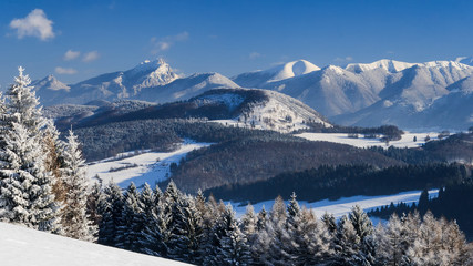 Fototapeta na wymiar snowy landscape, national park Mala Fatra in Slovakia, central Europe