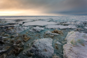 Panorama of ice-covered ocean
