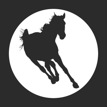 horse silhouette