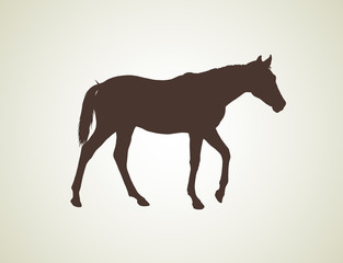 horse silhouette