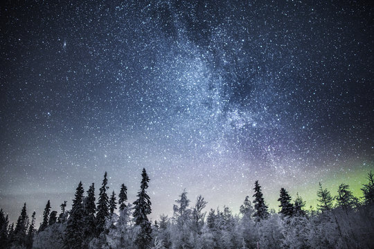 Northern lights and woodland, Lapland, Finland, Scandinavia, Europe 
