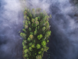 Woodland in fog, Lapland, Finland, Scandinavia, Europe, aerial view