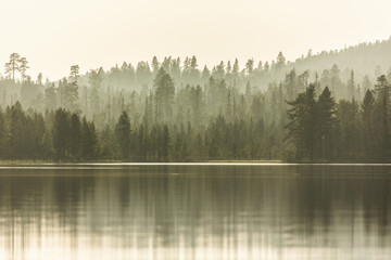 Forest and lake in fog, Lapland, Finland, Scandinavia, Europe 
