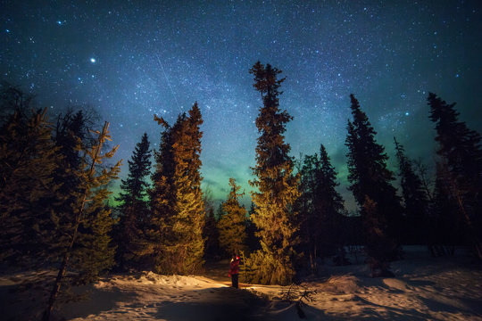 Woodland and northern lights, Lapland, Finland, Scandinavia, Europe 