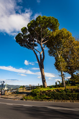 Fototapeta premium Panorama miasta florencja włochy