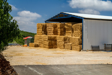 The hay storage shed, kibbutz in Israel