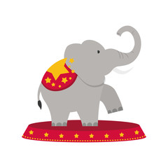 Circus elephant cartoon icon vector illustration graphic design