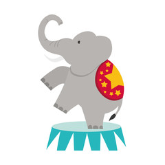 Circus elephant cartoon icon vector illustration graphic design