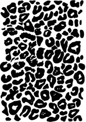 Animal skin texture in black and white colors

