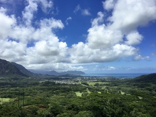 Scenic view from Pali Hwy