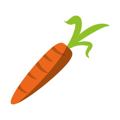 fresh carrot vegetable healthy icon vector illustration eps 10