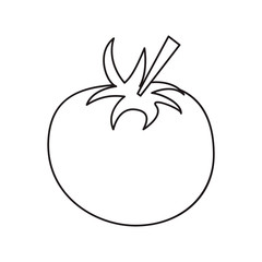 outline tomato juicy vegetable icon vector illustration eps 10