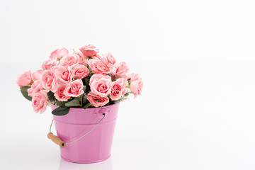 Romantic decor of pink rose flower bouquet in the pink iron (metal) bucket/container. Isolated background.  Greeting card with  flowers.