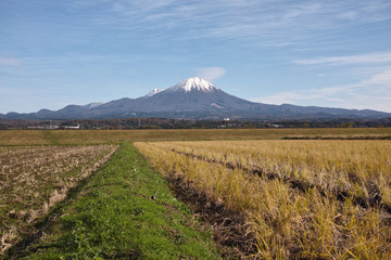 晩秋の大山　冠雪