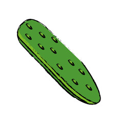 drawing cucumber vegetable healthy nutrition icon vector illustration eps 10