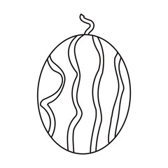 juicy watermelon fruit nature outline vector illustration eps 10