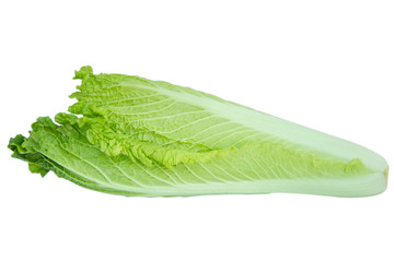 Chinese cabbage