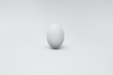 卵　白い　egg 