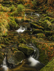 Creek Kamenice in Jizerske hory mountains
