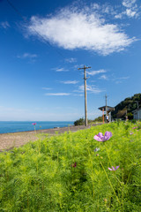 Obraz premium 下灘駅／海に近い駅（愛媛県伊予市双海町）を捉えた鉄道・交通風景