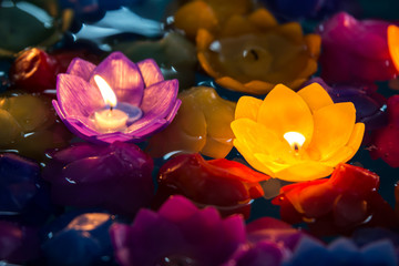Candle flowers violet and yellow colorful,Beatiful in loy krathong day from Thailand